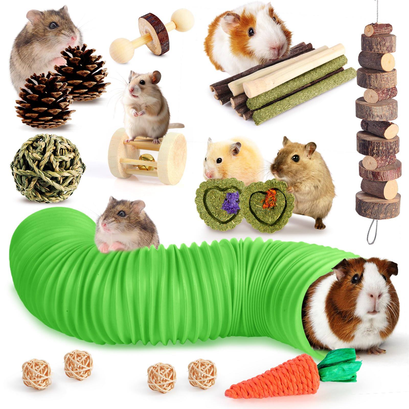 Snapshot of Best Hamster Cage Accessories For Enrichment Toy Placement