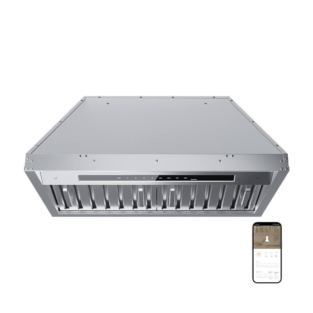 Jeremy Cass - 29 inches - Convertible - Range Hood Insert - Silver