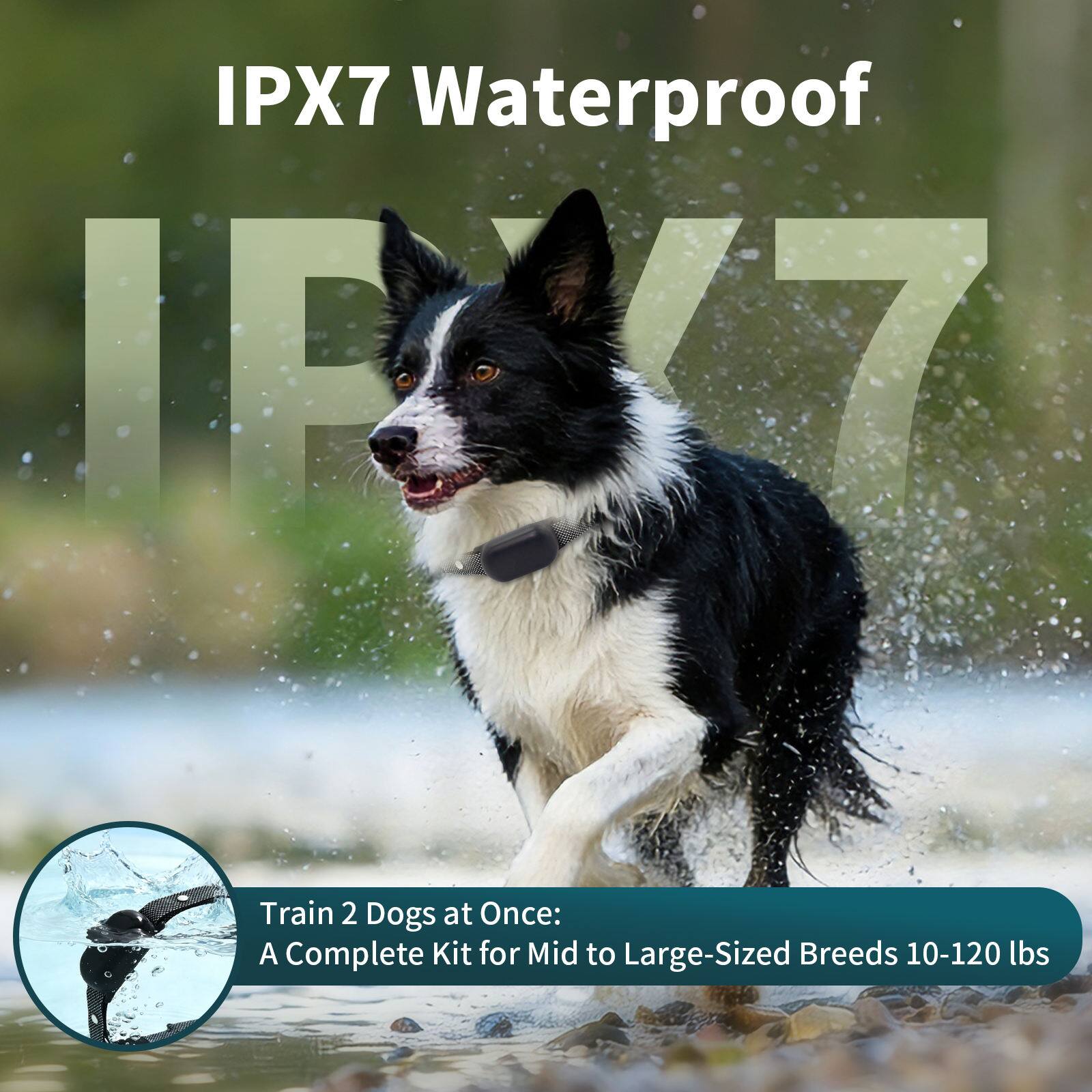 IPX7 Waterproof  
Train 2 Dogs at Once: A Complete Kit for Mid to Large-Sized Breeds 10-120 lbs