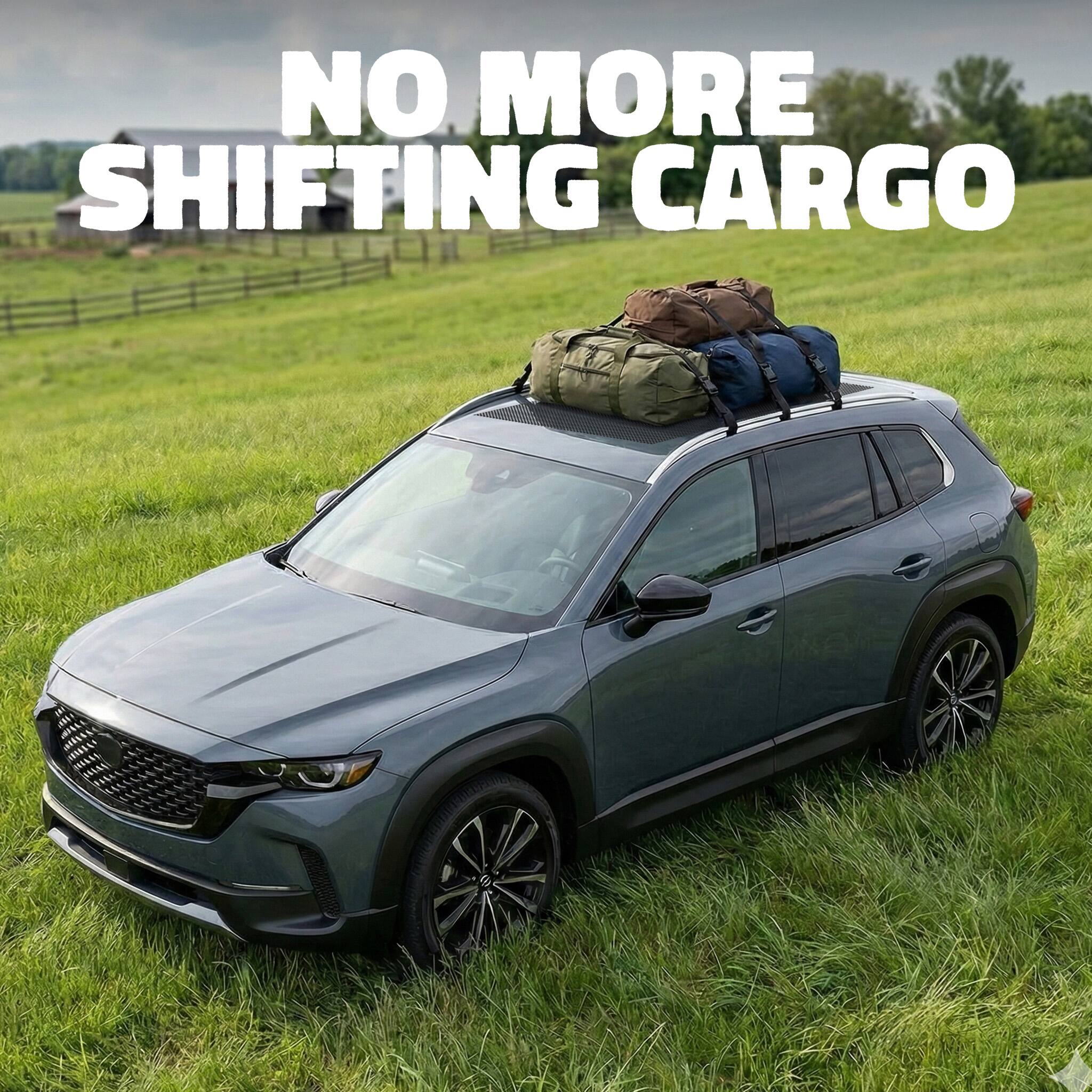 NO MORE SHIFTING CARGO