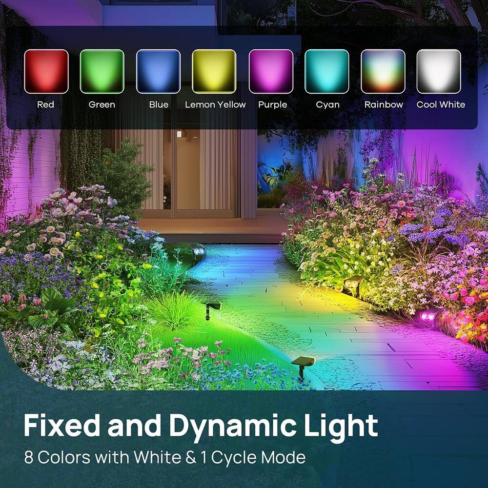 Red  
Green  
Blue  
Lemon Yellow  
Purple  
Cyan  
Rainbow  
Cool White  

Fixed and Dynamic Light  
8 Colors with White & 1 Cycle Mode