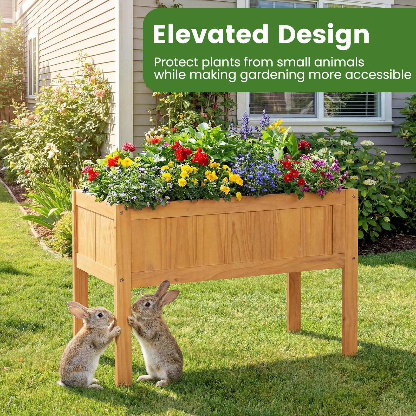 Elevated Design  
Protect plants from small animals while making gardening more accessible