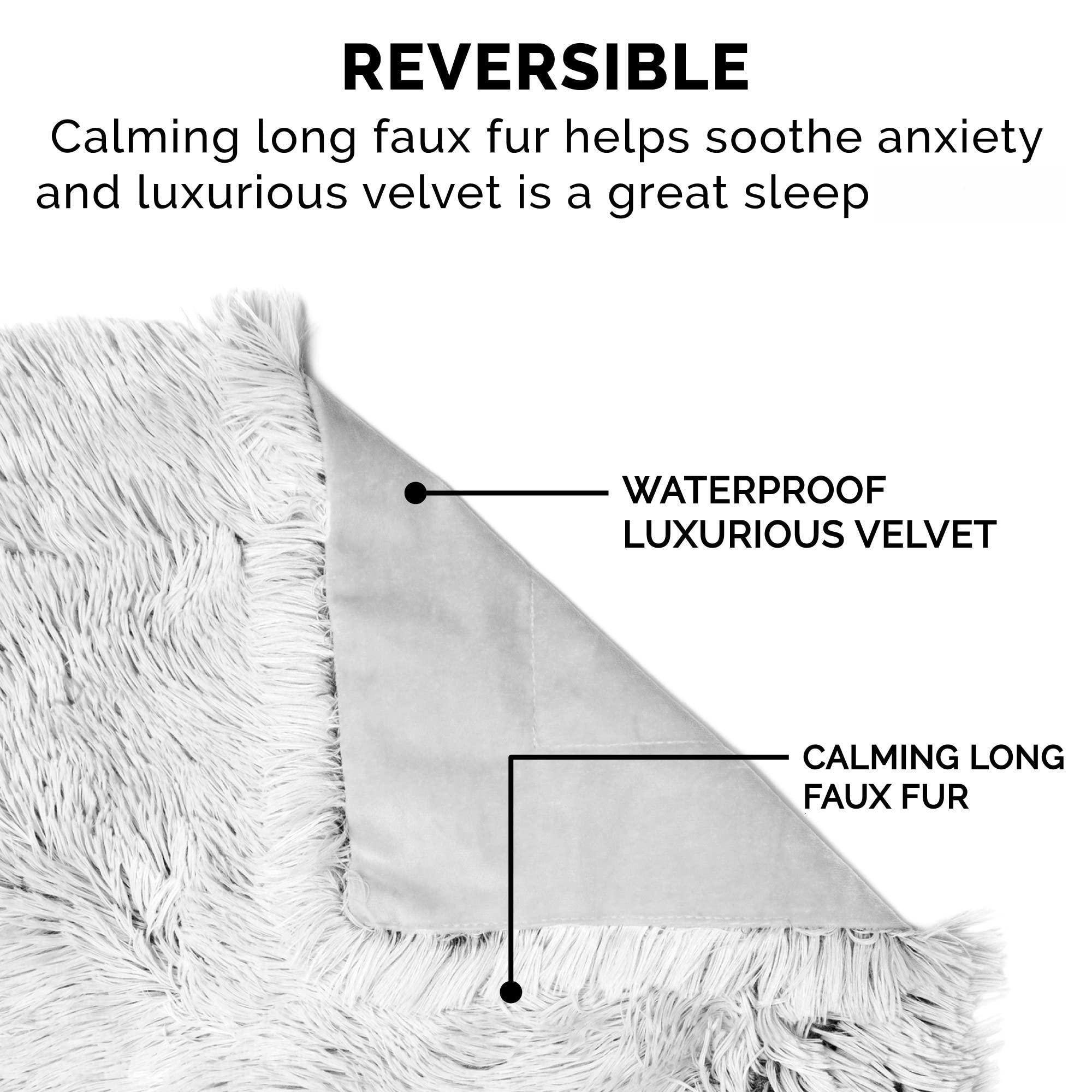 Liebesdecke Wasserdicht Für Sex 200x200 Furhaven XL Waterproof Calming Plush Long Faux Fur & Velvet Dog Blanket, Washable, Taupe, Extra Large Hundedecke Sofa