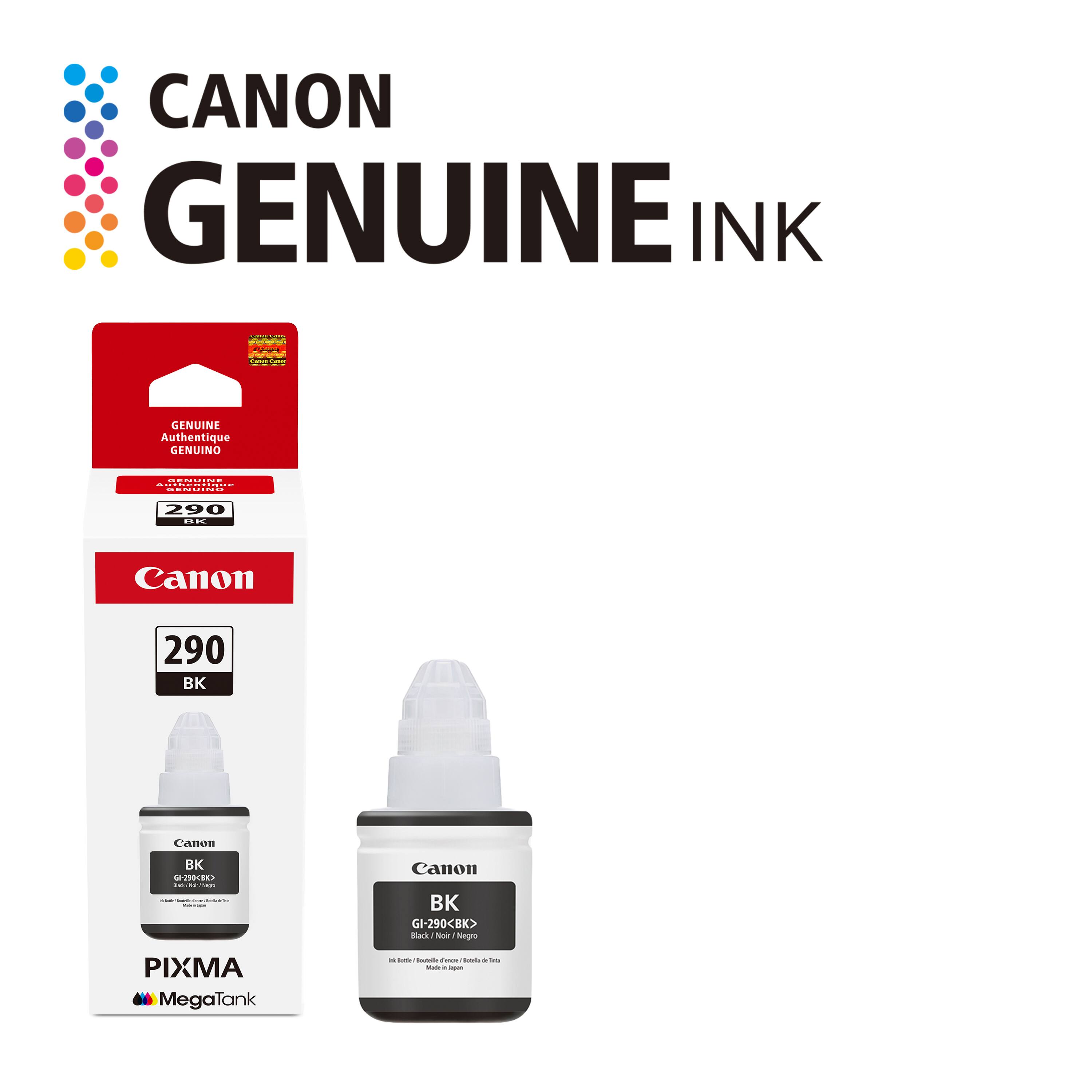 CANON GENUINE INK - GENUINE Authentique GENUINO

Canon 290 BK

Canon BK GI-290BK

PIXMA MegaTank