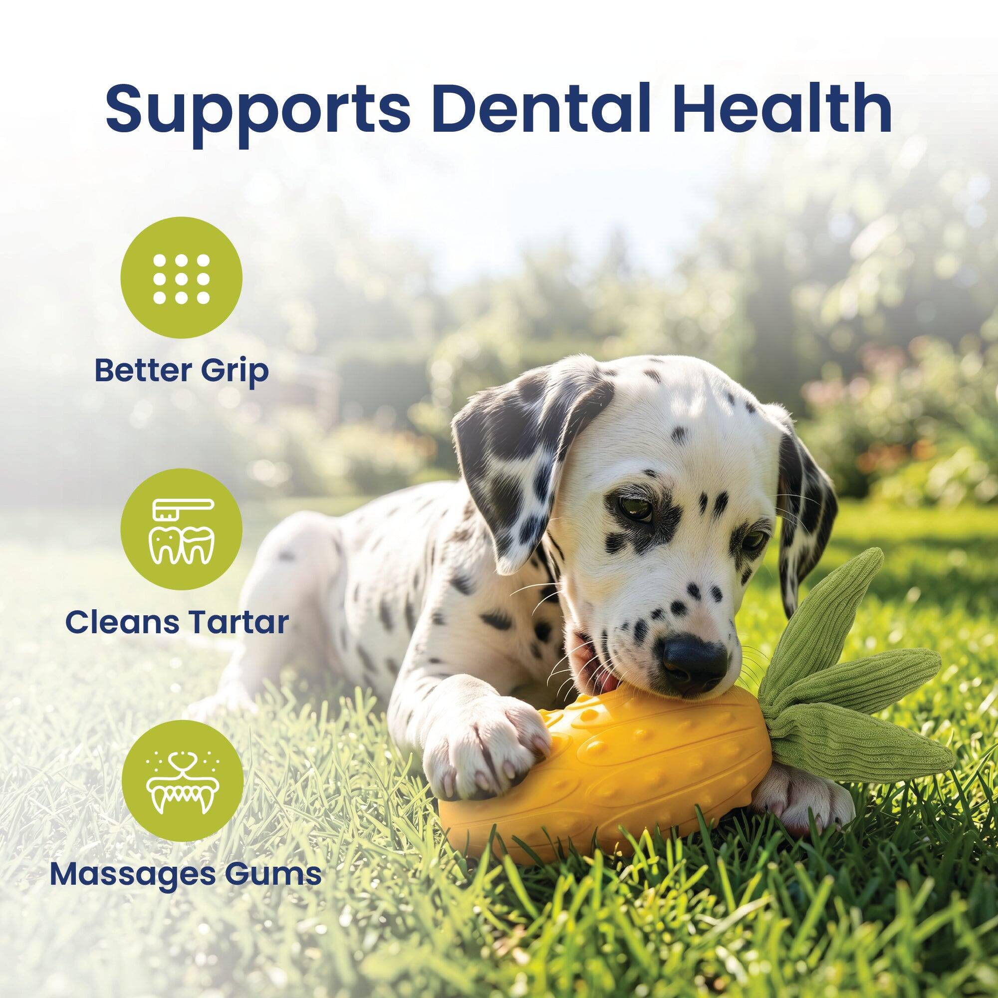 Supports Dental Health  
- Better Grip  
- Cleans Tartar  
- Massages Gums