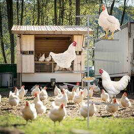 Oumilen - Grey In-ground Chicken Perch Stand with Multi-level Roosting Bars & Stainless Steel Feeder Bowls - White