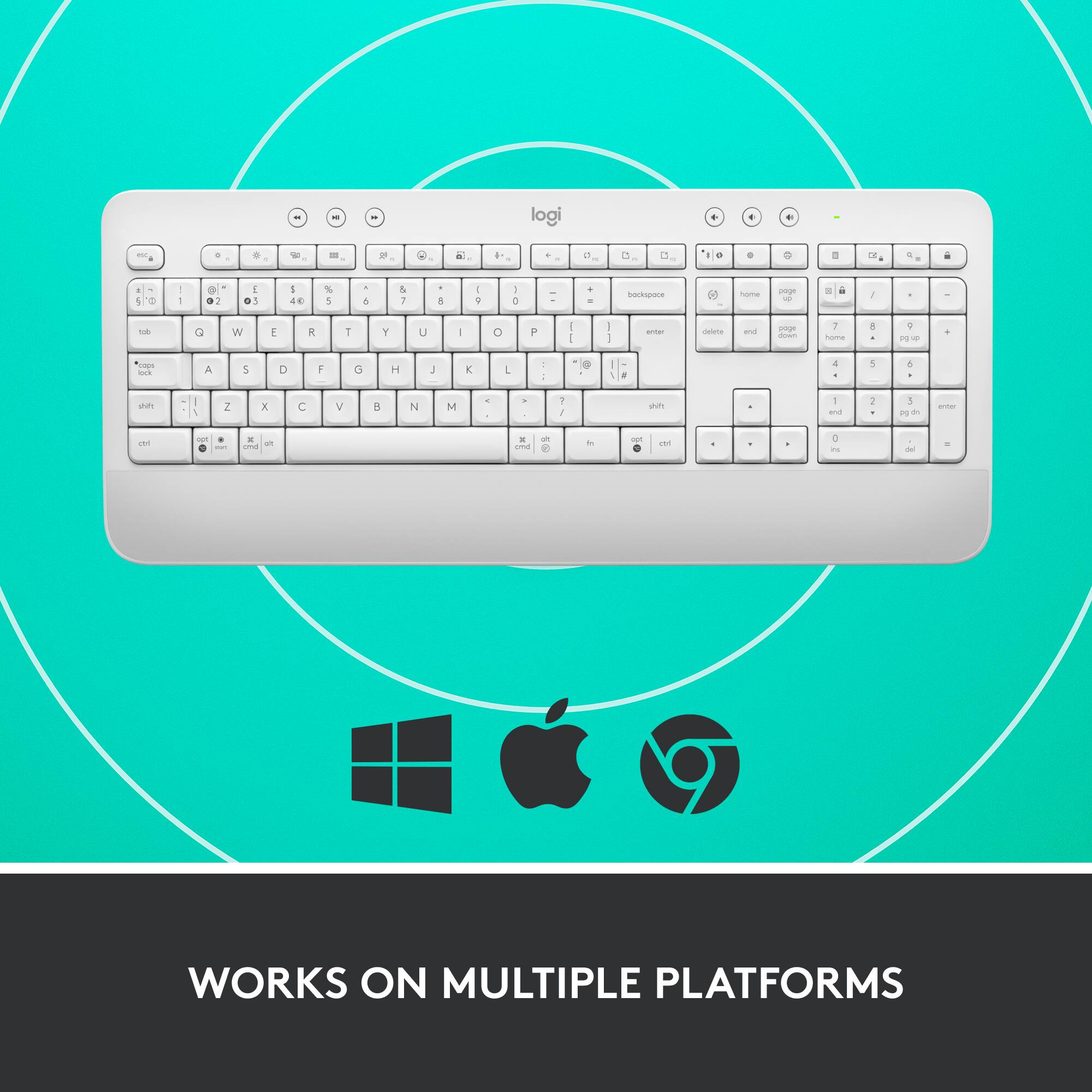 WORKS ON MULTIPLE PLATFORMS