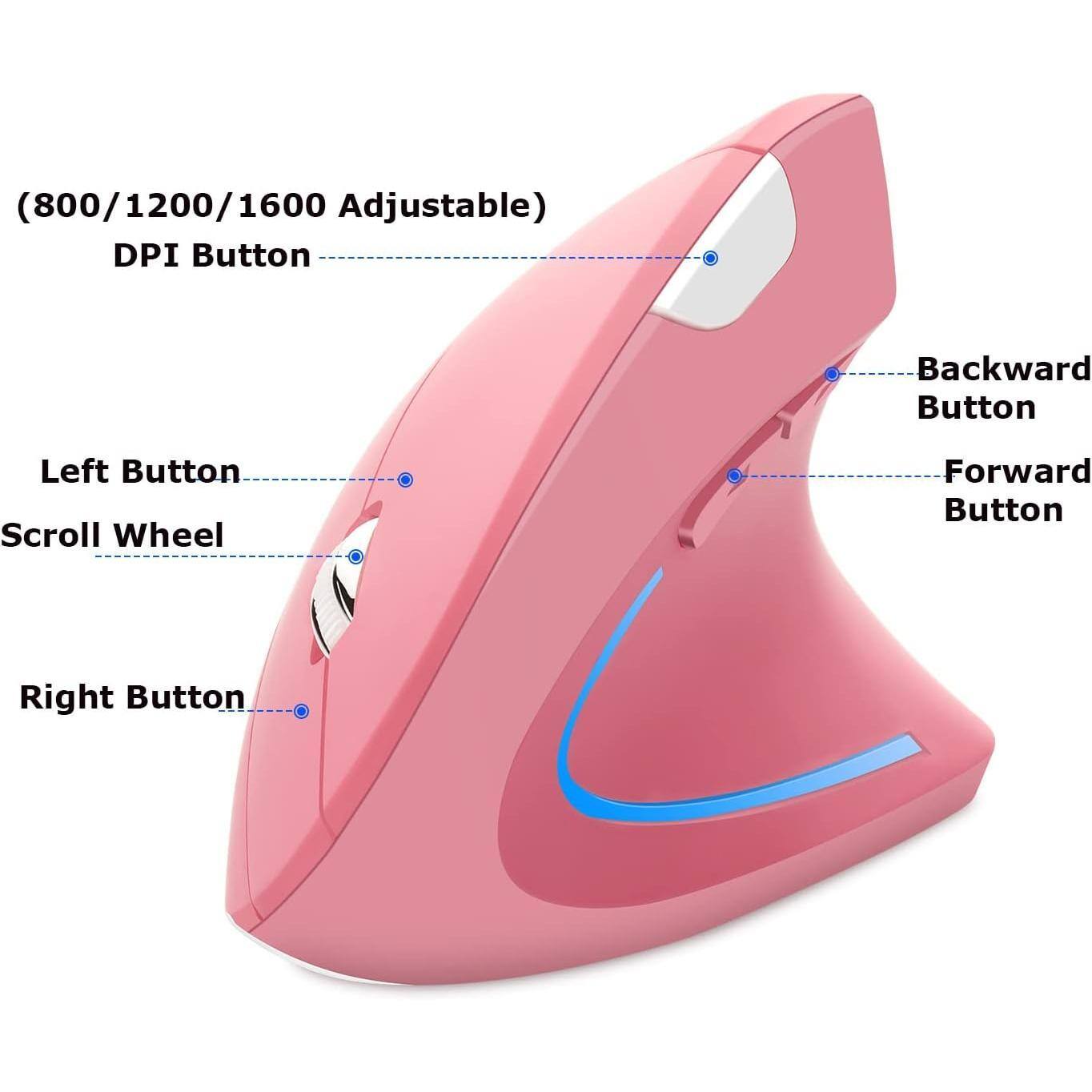 (800/1200/1600 Adjustable) DPI Button  
Left Button  
Scroll Wheel  
Right Button  
Backward Button  
Forward Button