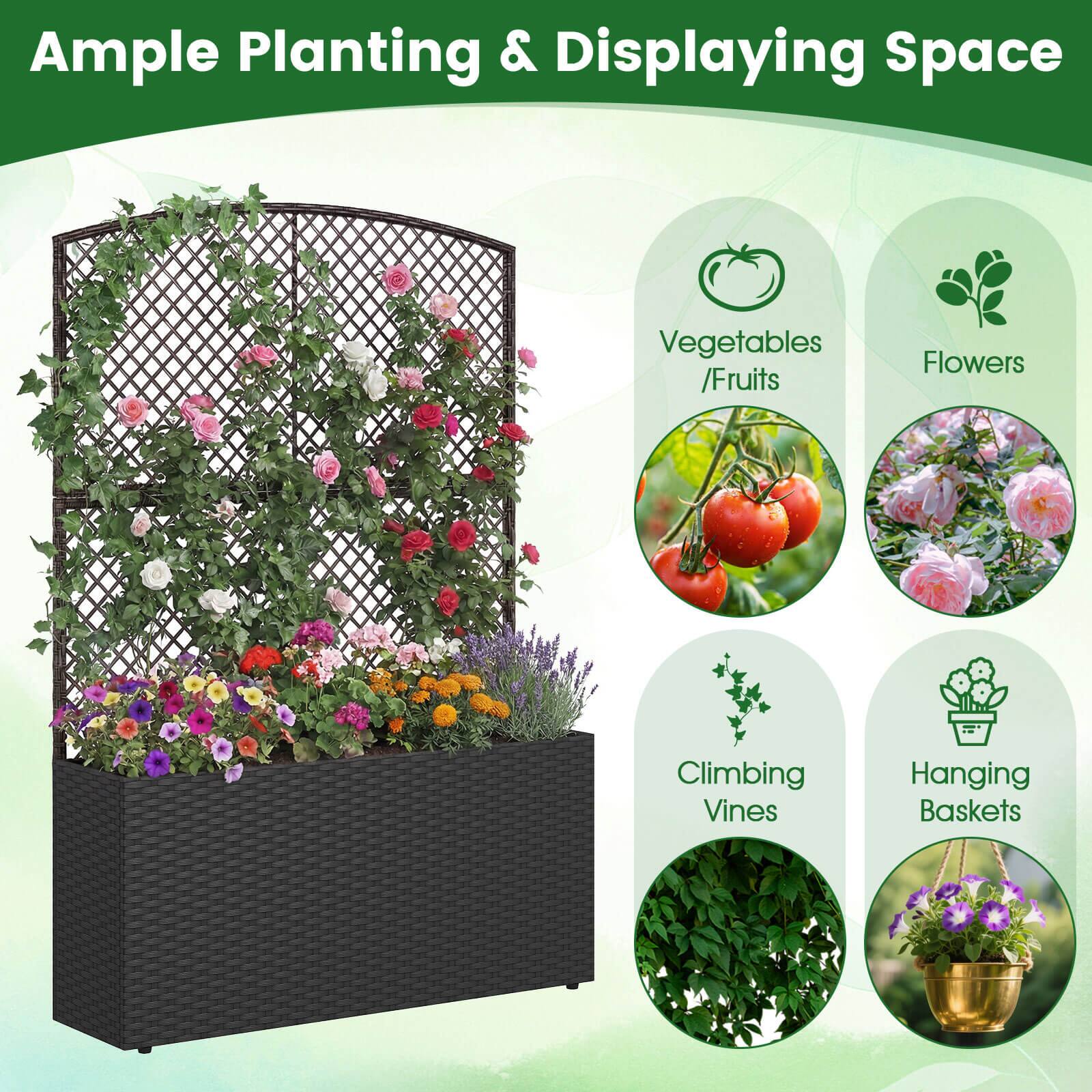 Ample Planting & Displaying Space

- Vegetables / Fruits
- Flowers
- Climbing Vines
- Hanging Baskets