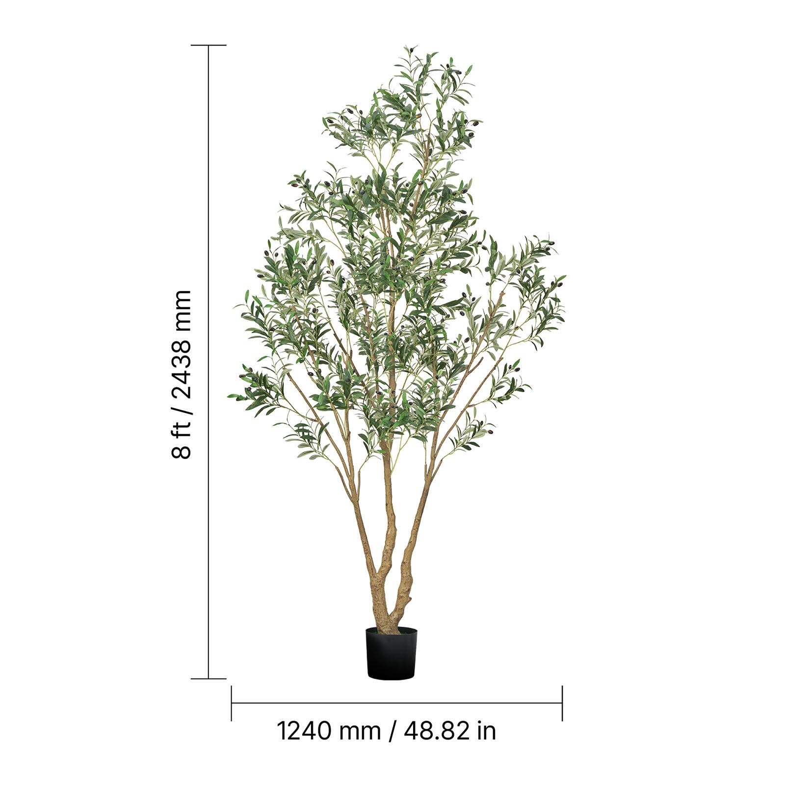 8 ft / 2438 mm  
1240 mm / 48.82 in