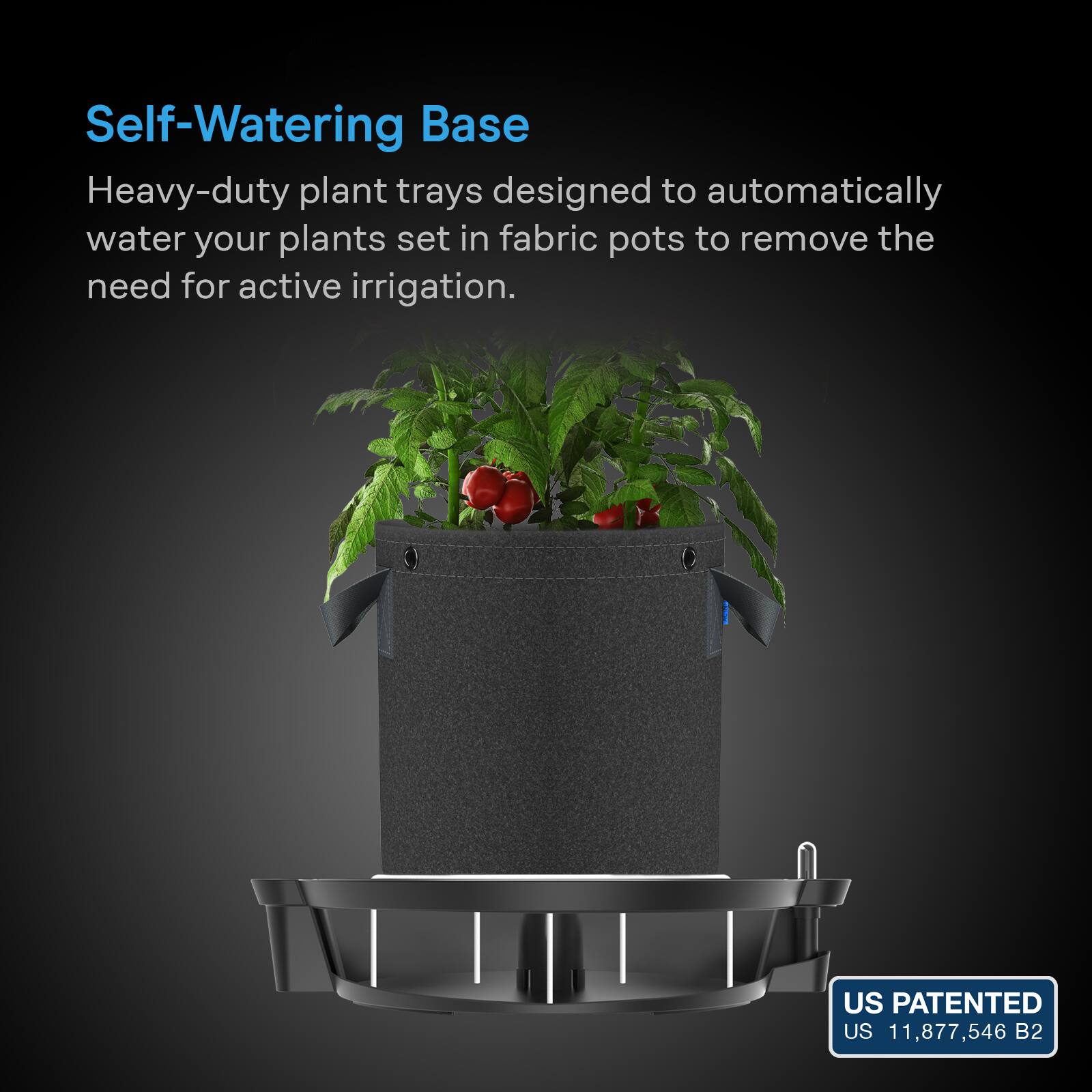 Self-Watering Base  
Heavy-duty plant trays designed to automatically water your plants set in fabric pots to remove the need for active irrigation.  
US PATENTED US 11,877,546 B2