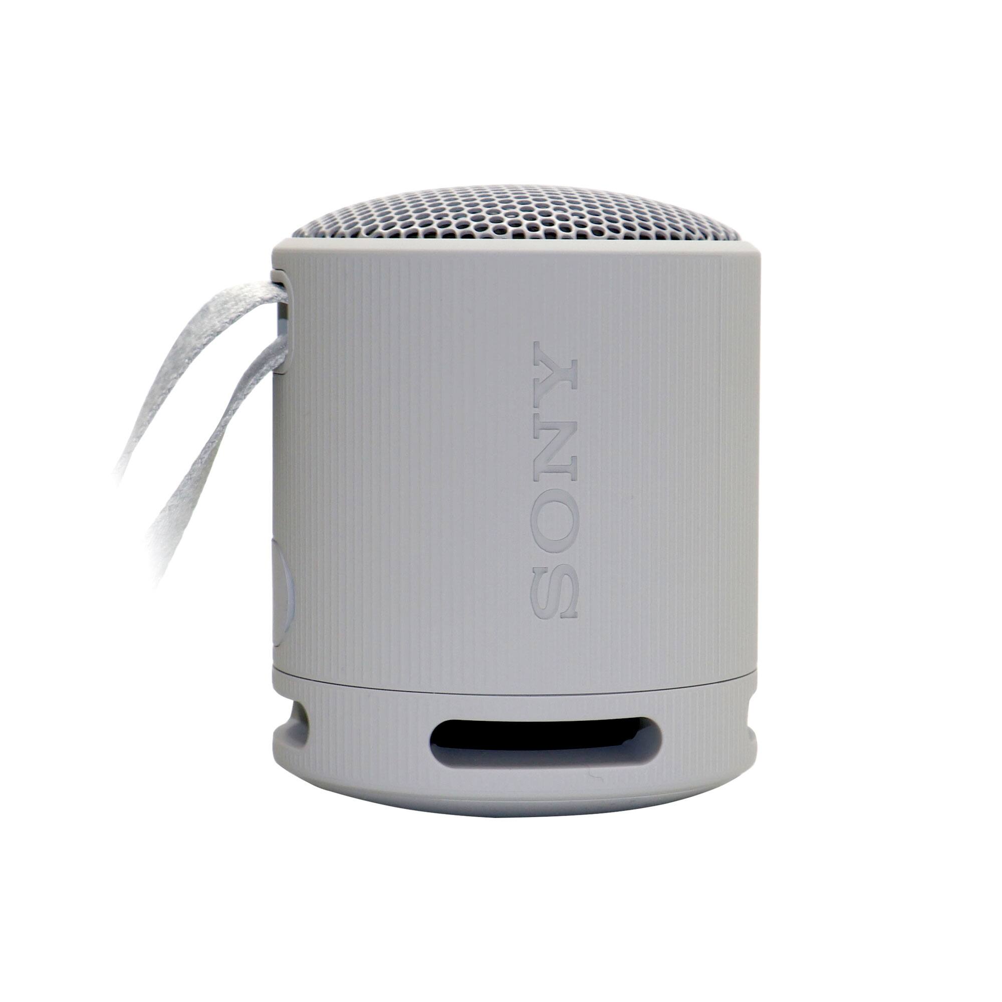 Sony XB100 Waterproof Bluetooth Speaker Gray + MDR ZX110 Wired