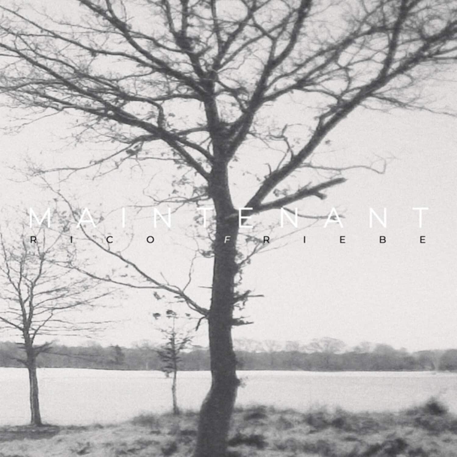 Rico Friebe - Maintenant  - COMPACT DISCS