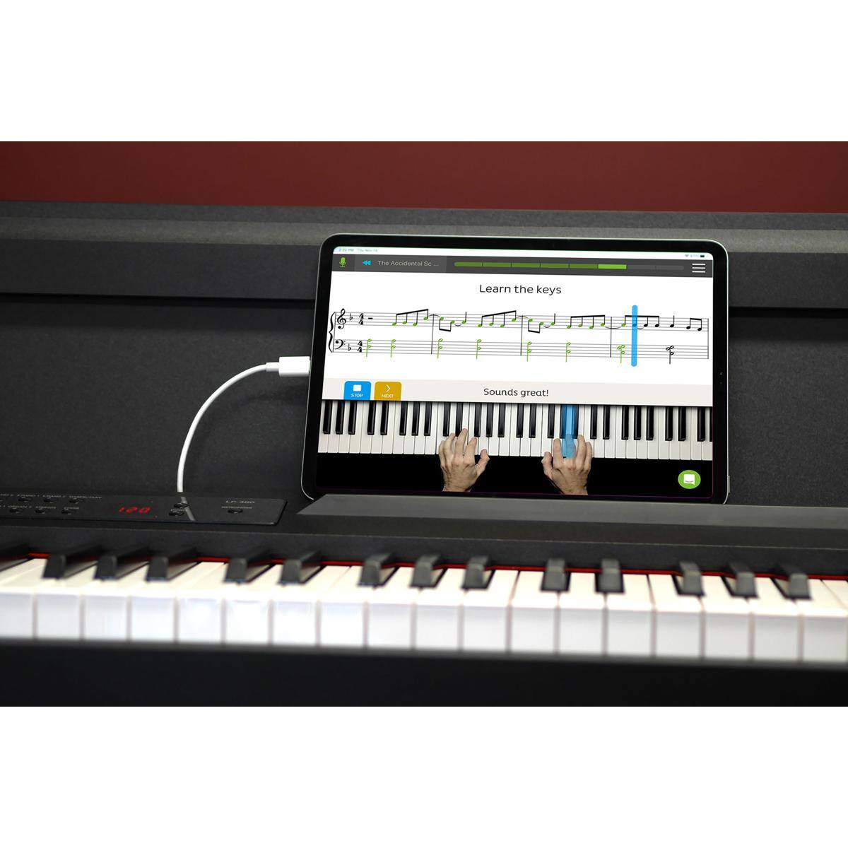 The Accidental - Learn the keys  
Sounds great!