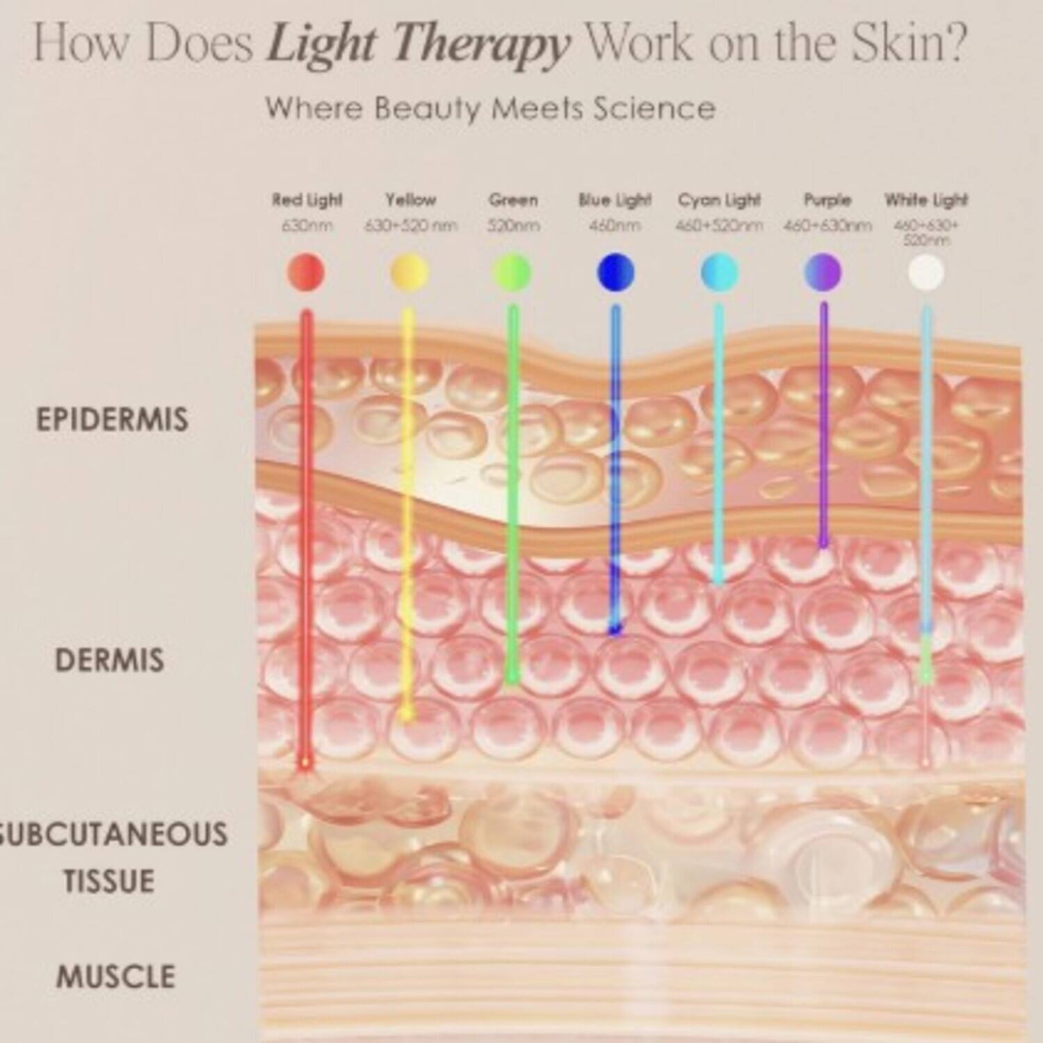 How Does Light Therapy Work on the Skin?  
Where Beauty Meets Science  

Red Light: 630nm  
Yellow: 630-520 nm  
Green: 520nm  
Blue Light: 460nm  
Cyan Light: 460+520nm  
Purple: 460+630nm  
White Light: 450-630+520nm  

EPIDERMIS  
DERMIS  
SUBCUTANEOUS TISSUE  
MUSCLE