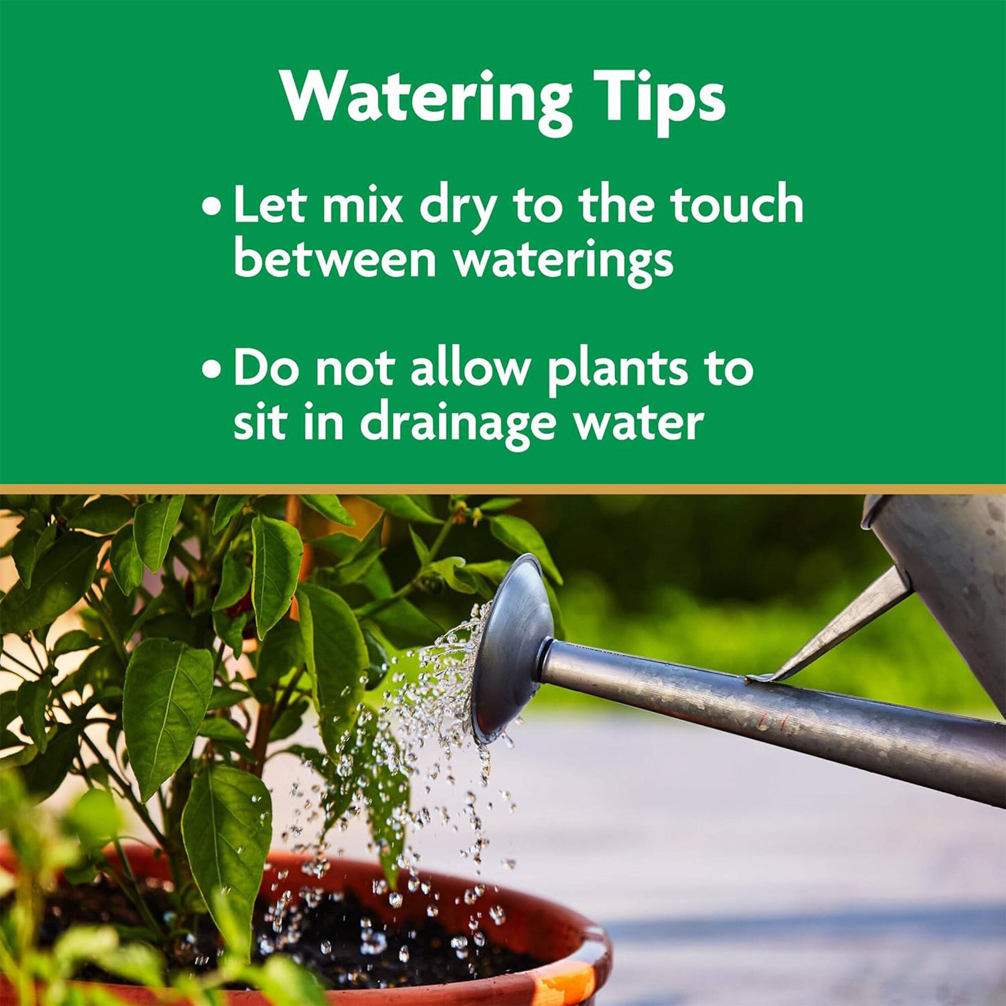 Watering Tips

- Let mix dry to the touch between waterings
- Do not allow plants to sit in drainage water