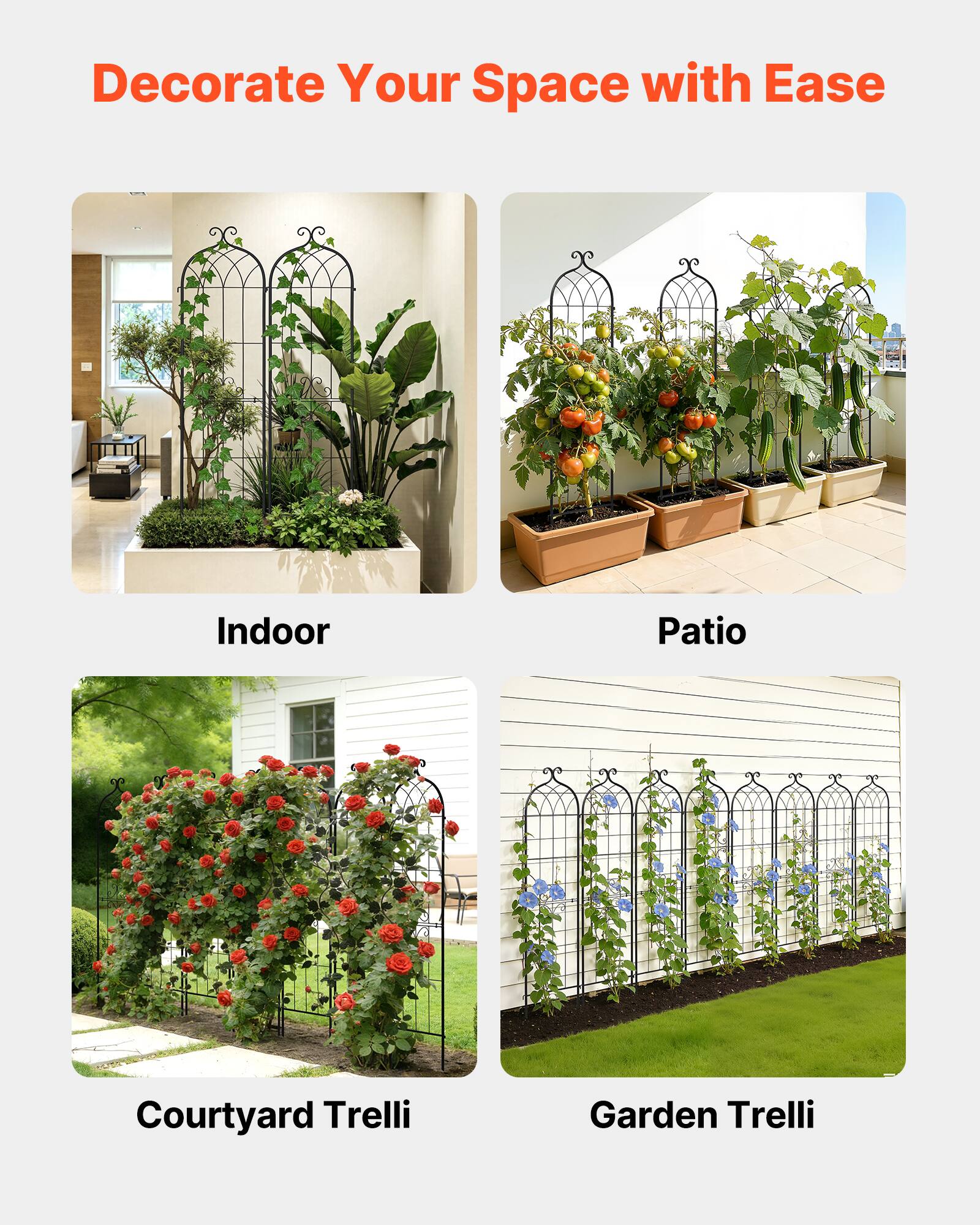 Decorate Your Space with Ease

Indoor

Patio

Courtyard Trelli

Garden Trelli
