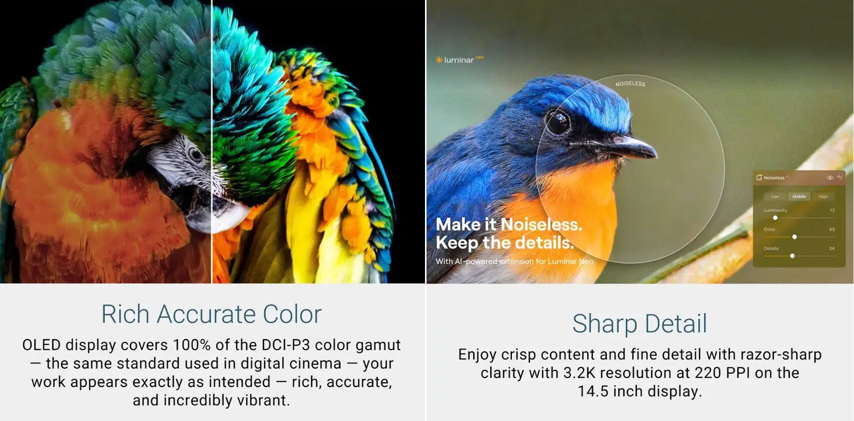 - **Luminar NOISELESS**
  - Noiseless Low Maddle High
  - Make it Noiseless. Keep the details.
  - With AI-powered extension for Luminar

- **Rich Accurate Color**
  - OLED display covers 100% of the DCI-P3 color gamut
  - The same standard used in digital cinema – your work appears exactly as intended – rich, accurate, and incredibly vibrant.

- **Sharp Detail**
  - Enjoy crisp content and fine detail with razor-sharp clarity with 3.2K resolution at 220 PPI on the 14.5 inch display.