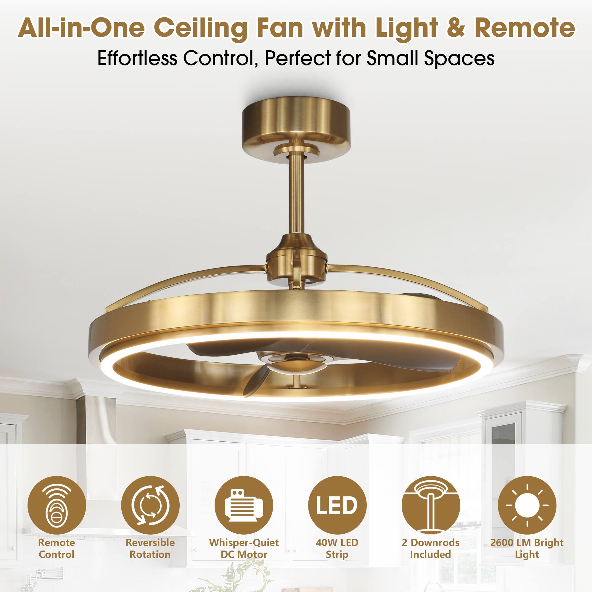 All-in-One Ceiling Fan with Light & Remote  
Effortless Control, Perfect for Small Spaces  

- Remote Control  
- Reversible Rotation  
- Whisper-Quiet DC Motor  
- 40W LED Strip  
- 2 Downrods Included  
- 2600 LM Bright Light