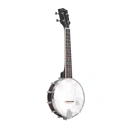 Gold Tone
Gold Tone Banjo