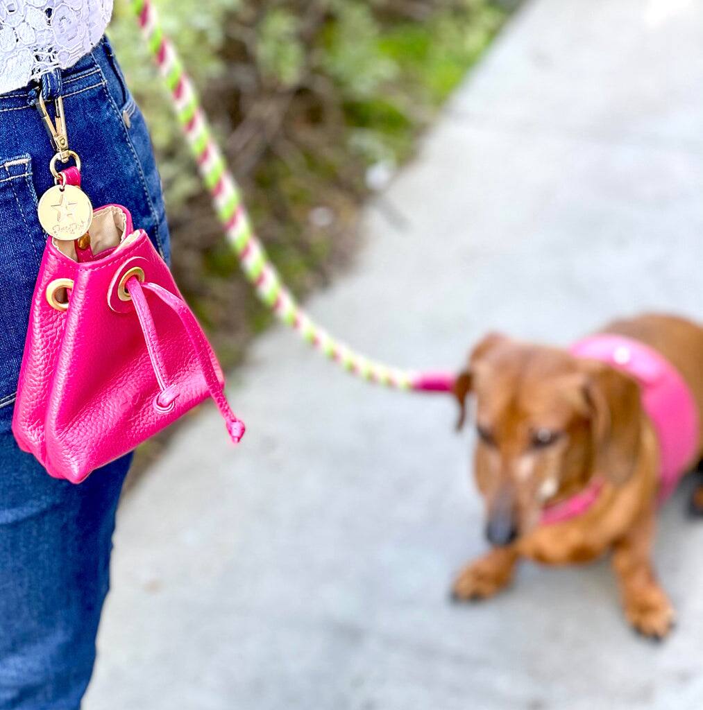 Angle. PoisePup - Genuine Leather Hands-Free Pet Walking and Training Treat Pouch for Dog - Pink.