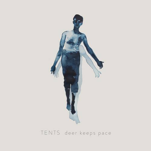 TENTS deer keeps pace