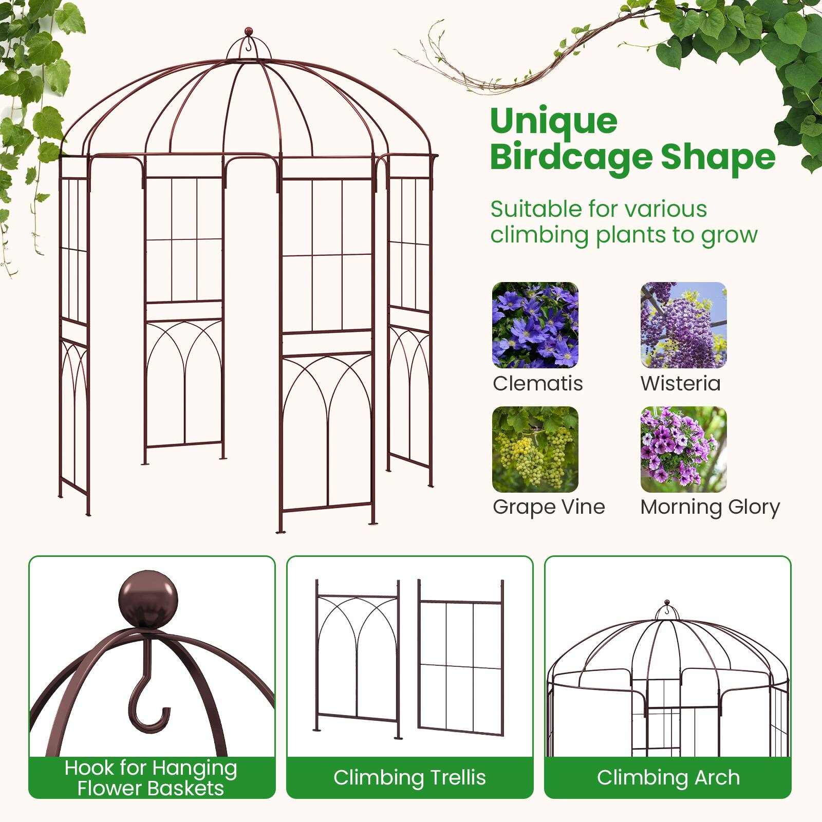 Unique Birdcage Shape  
Suitable for various climbing plants to grow  

- Clematis  
- Wisteria  
- Grape Vine  
- Morning Glory  

Hook for Hanging Flower Baskets  
Climbing Trellis  
Climbing Arch