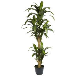 BreeBe - 5' Yucca Silk Plant - Green
