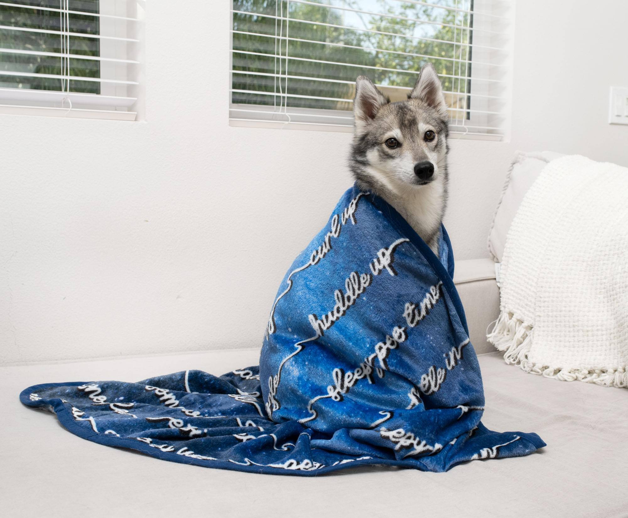 Sure, here is the corrected text from the image:

"curl up  
huddle up  
keep warm  
roll in  
your  
own  
blanket"