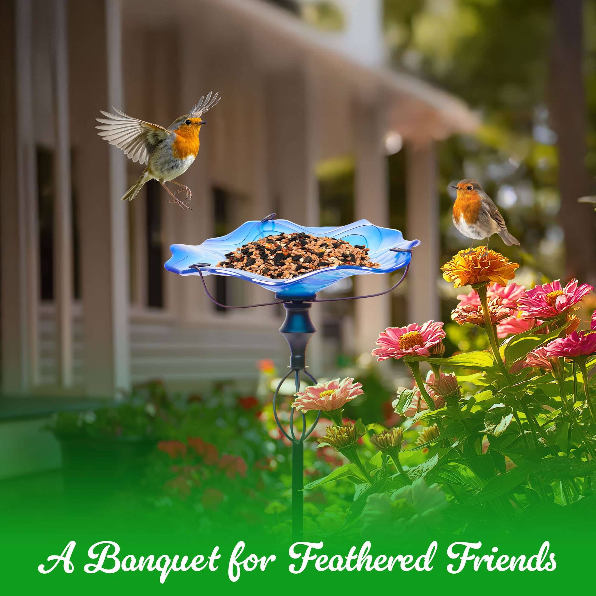A Banquet for Feathered Friends
