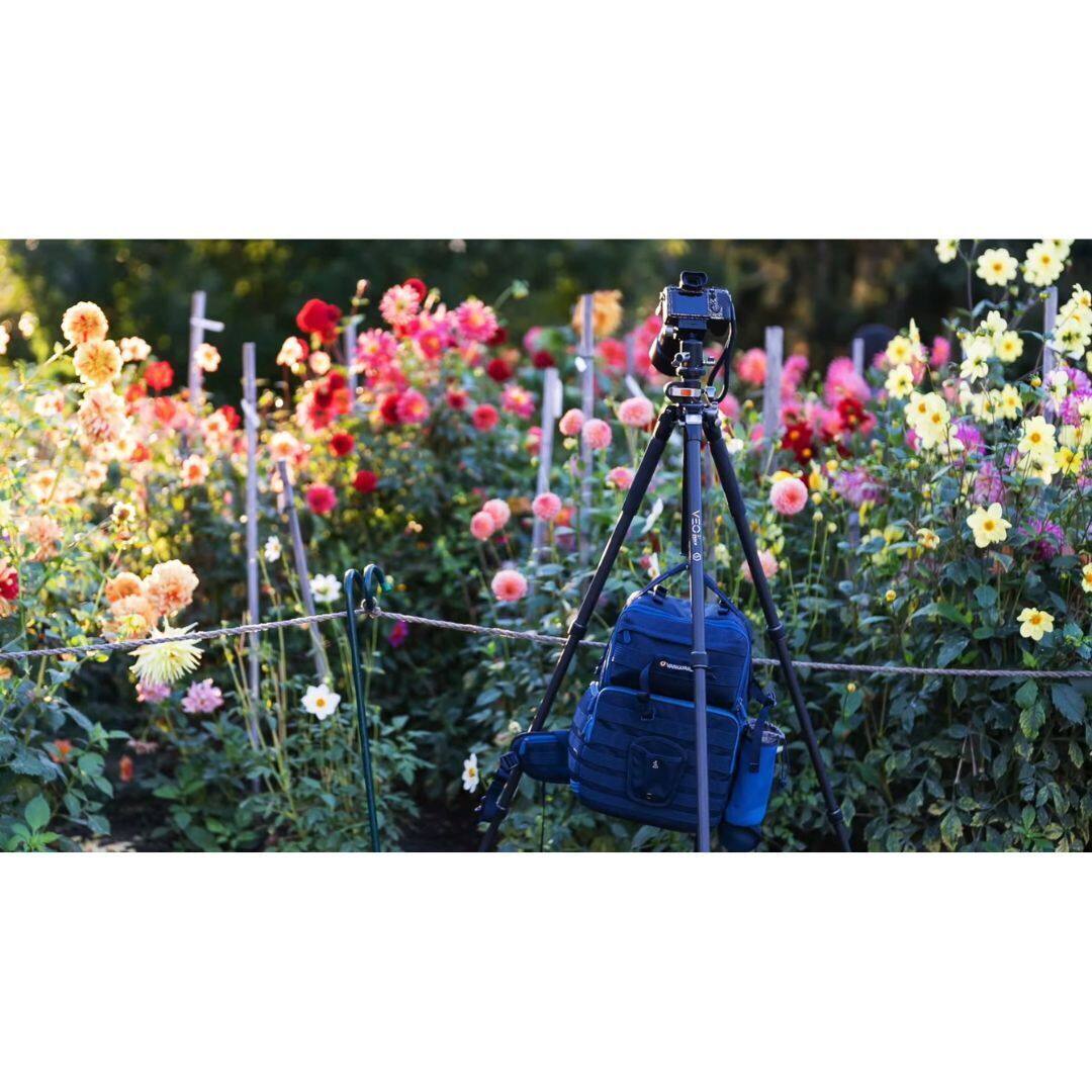 Angle. Vanguard - Vanguard Carbon Fiber Tripod with VEO 2 PH-38 Panhead, QS-65.