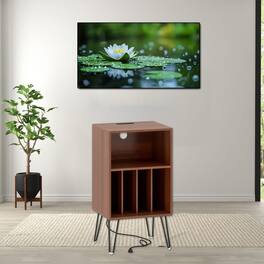 Hivvago - Stylish Turntable Console with Power Hub and Record Storage Shelves - Walnut