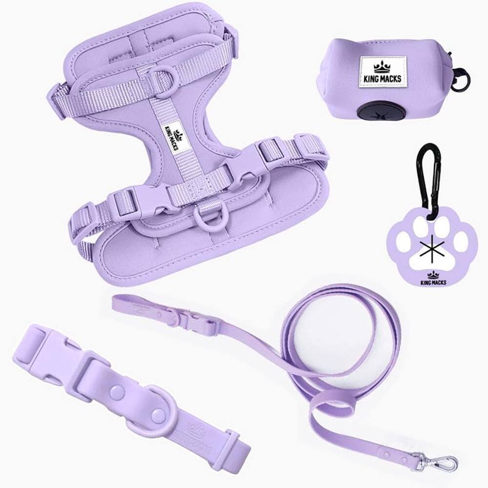 KING MACKS  
KING MACKS  
KING MACKS