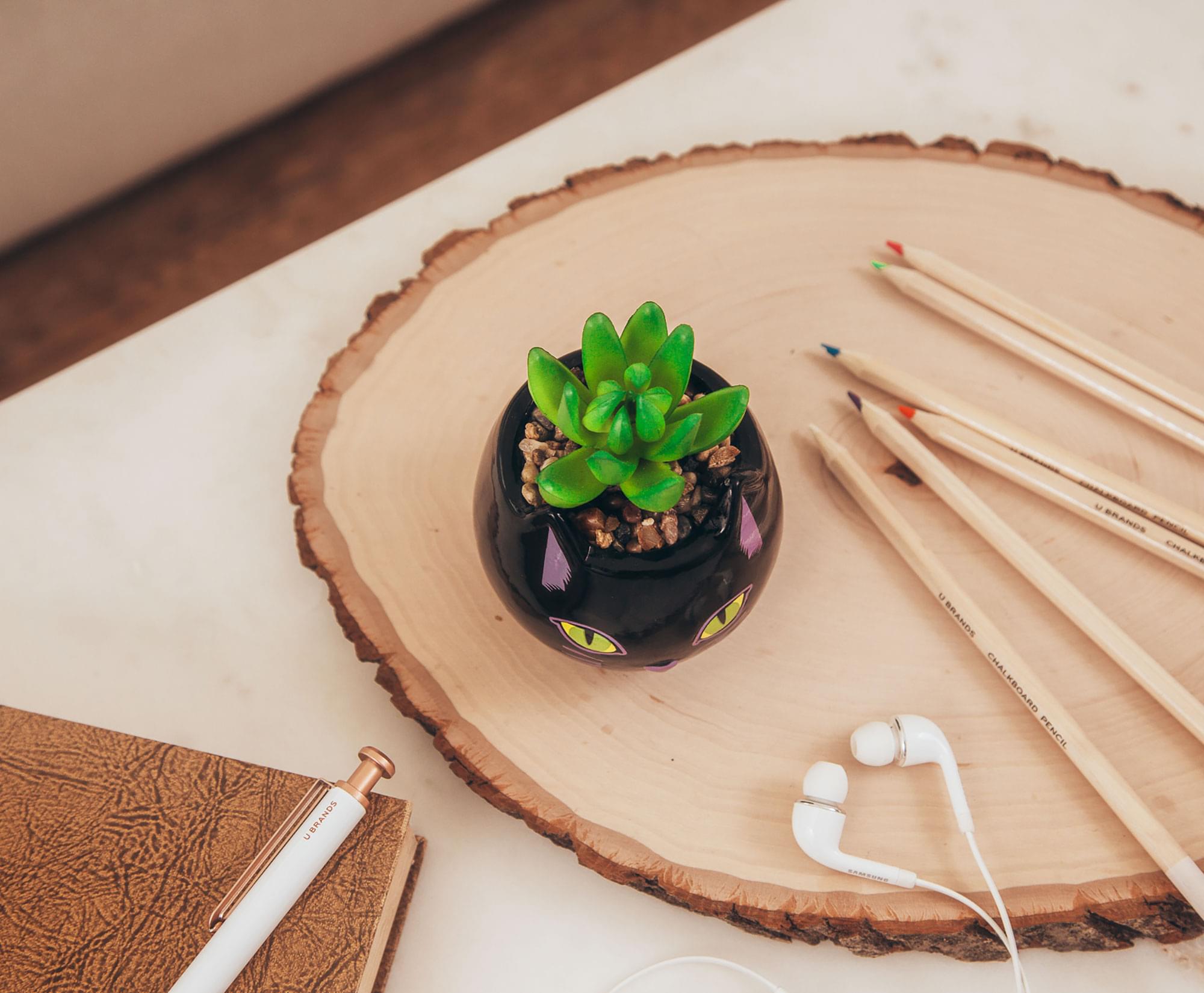 N BRANDS CHALKBOARD PENCILS  
N BRANDS CHALKBOARD PENCILS