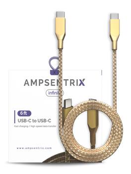 Ampsentrix - 6 FT USB Type C To USB Type C Cable (Infinity) - Gold
