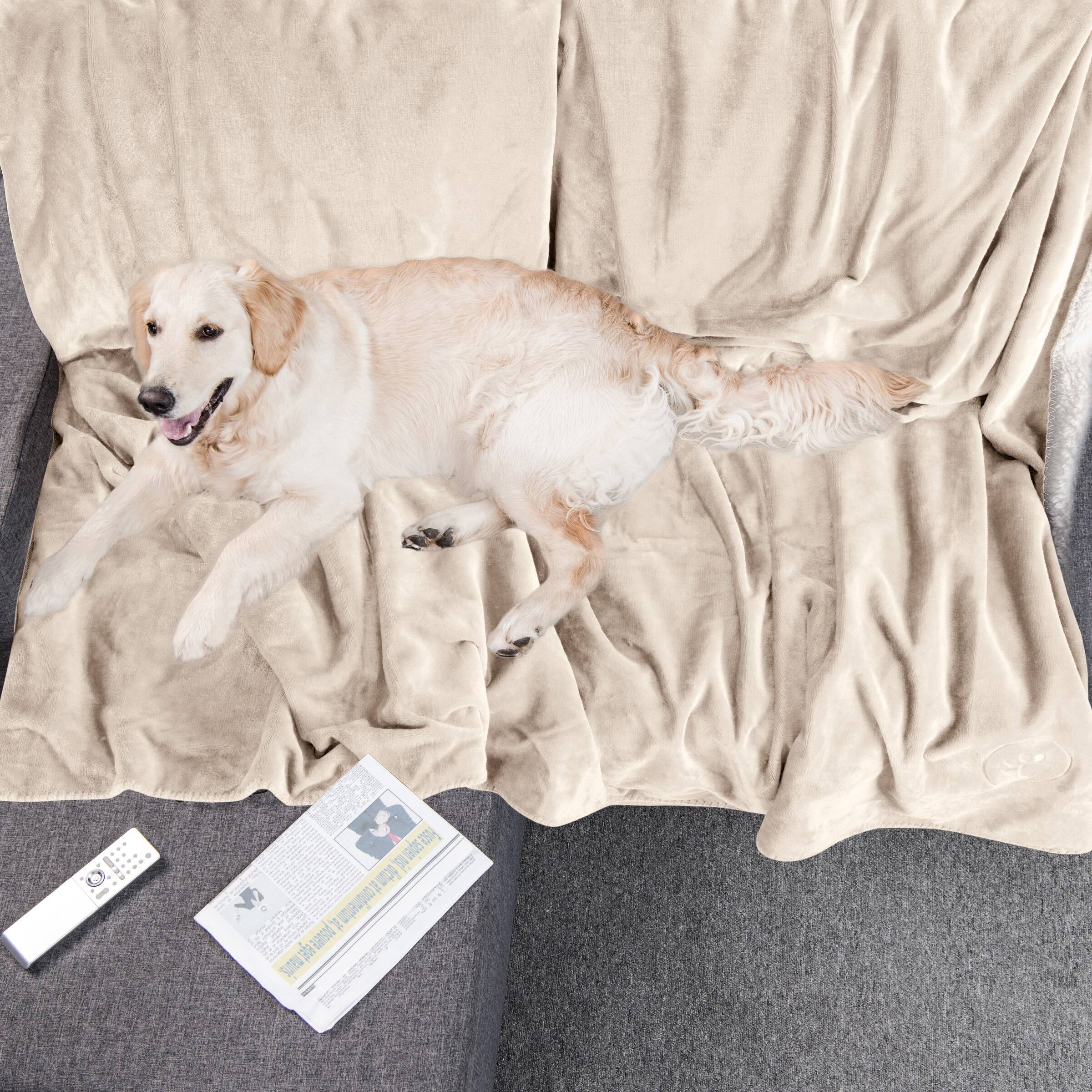 Sure, here is the corrected text:

- 1 Fse.spen dl ad
- 1 u E posuere
- SUP