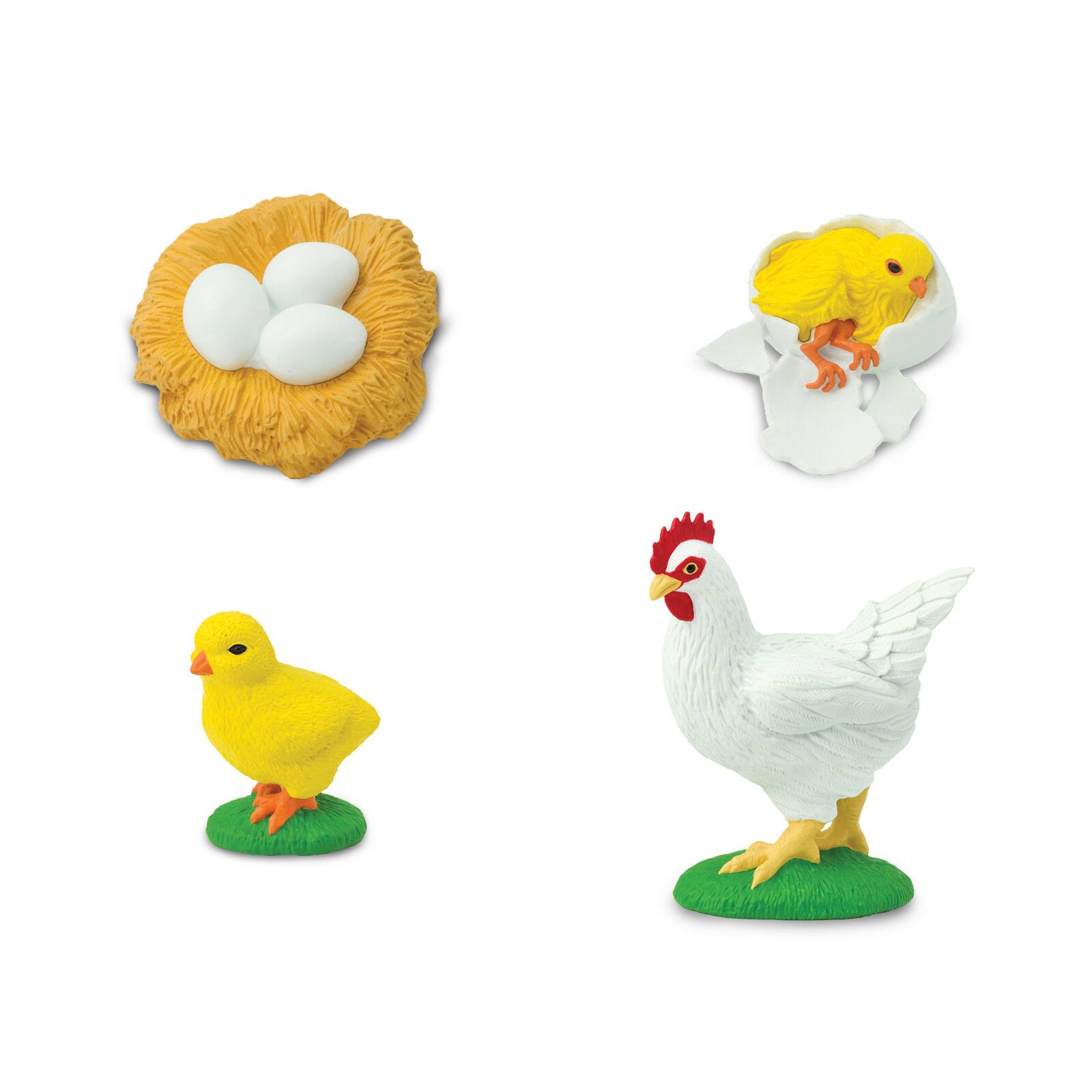 Angle. Safari Ltd. - Life Cycle Of A Chicken Toy.