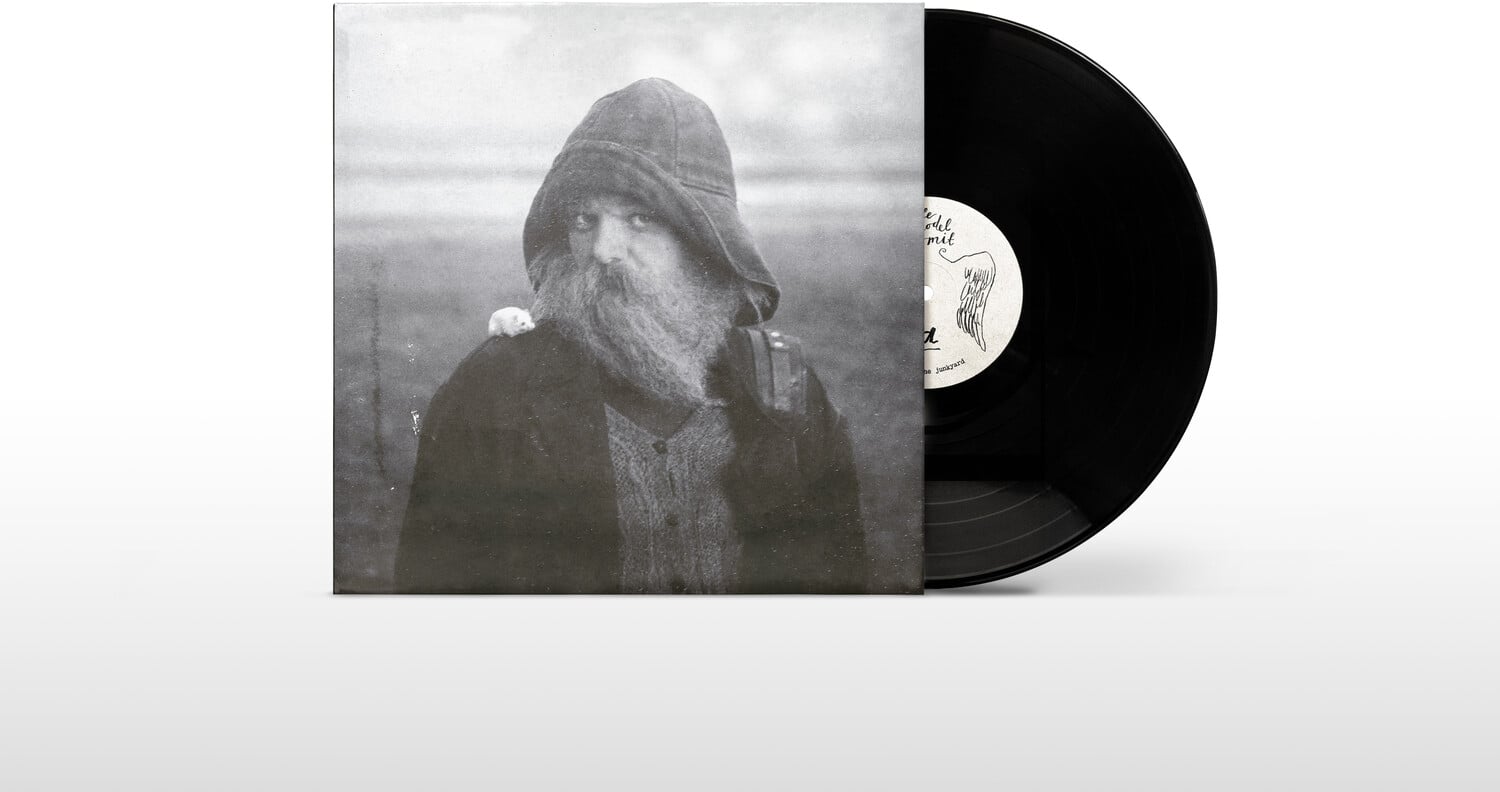 Mary in the Junkyard - Role Model Hermit   - VINYL LP price history on PriceWatchPro