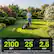 CUTTING AREA
2100 SQFT
OPERATING TIME
25 MIN
CHARGING TIME
2.5 HOUR
*The cutting area may vary based on individual operation habits, lawn conditions, and environmental factors