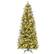 Front. Costway - 6 FT Pre-Lit Artificial Christmas Tree with 580 Frosted Tips 280 LED Lights - Green/White.