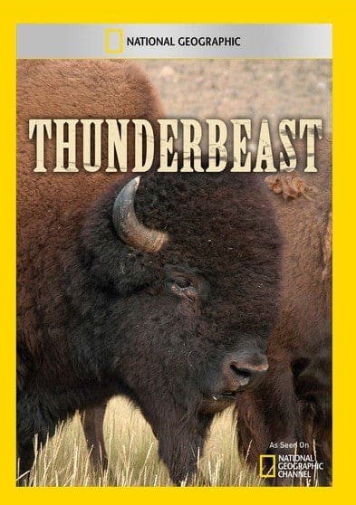 Thunderbeast - DVD price history on PriceWatchPro