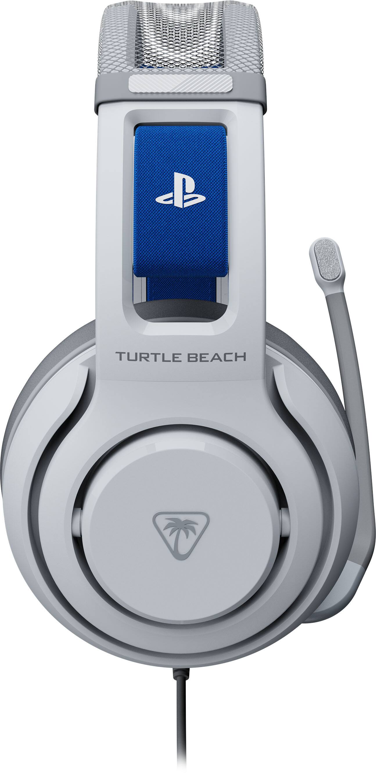 The text on the image is "TURTLE BEACH."