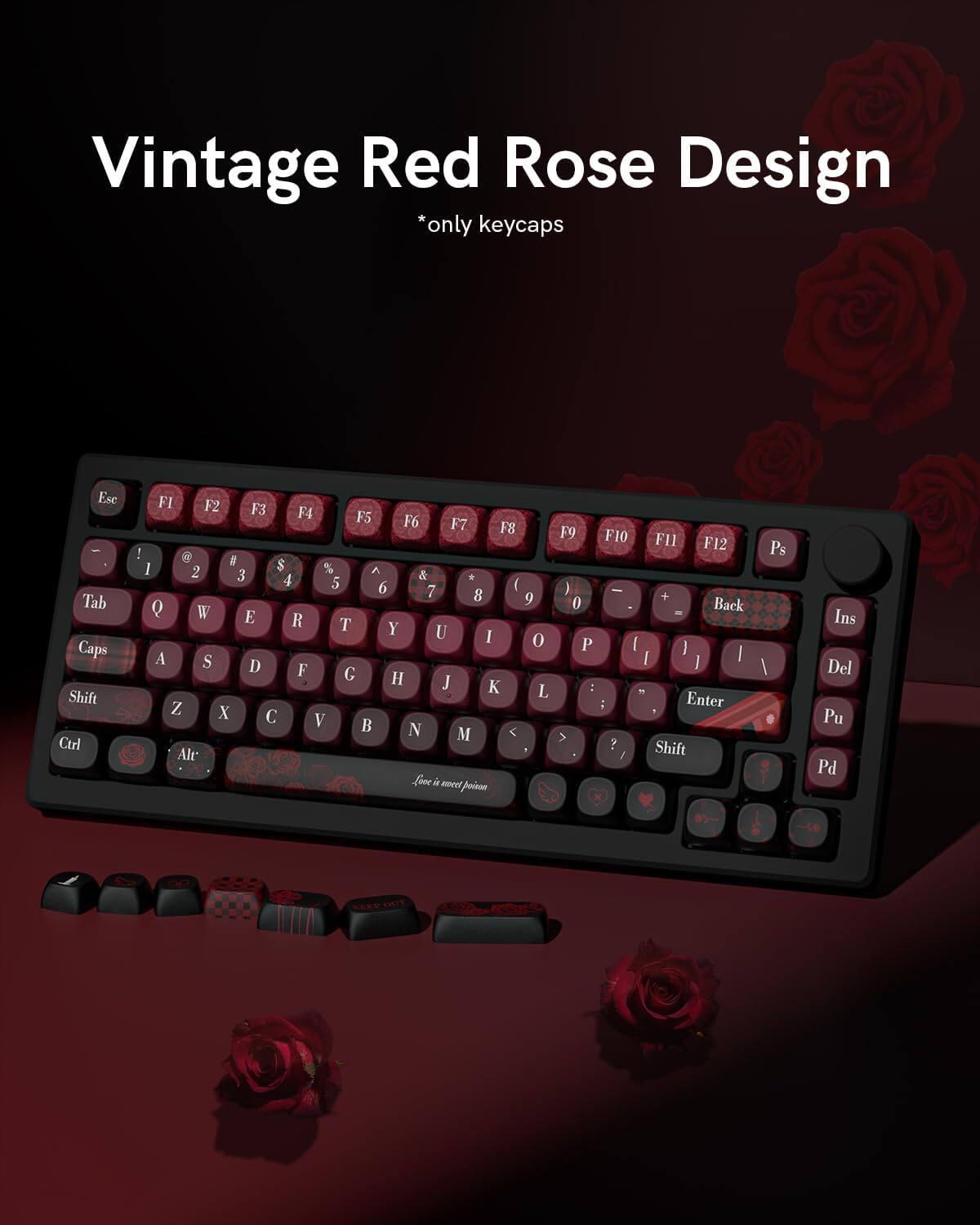 Vintage Red Rose Design *only keycaps*  
Esc F1 F2 F3 F4 F5 F6 F7 F8 F9 F10 F11 F12  
Tab Q W E R T Y U I O P  
Caps A S D F G H J K L  
Shift Z X C V B N M  
Ctrl Alt  
Backspace Enter Shift  
Ins Del Pu Pd