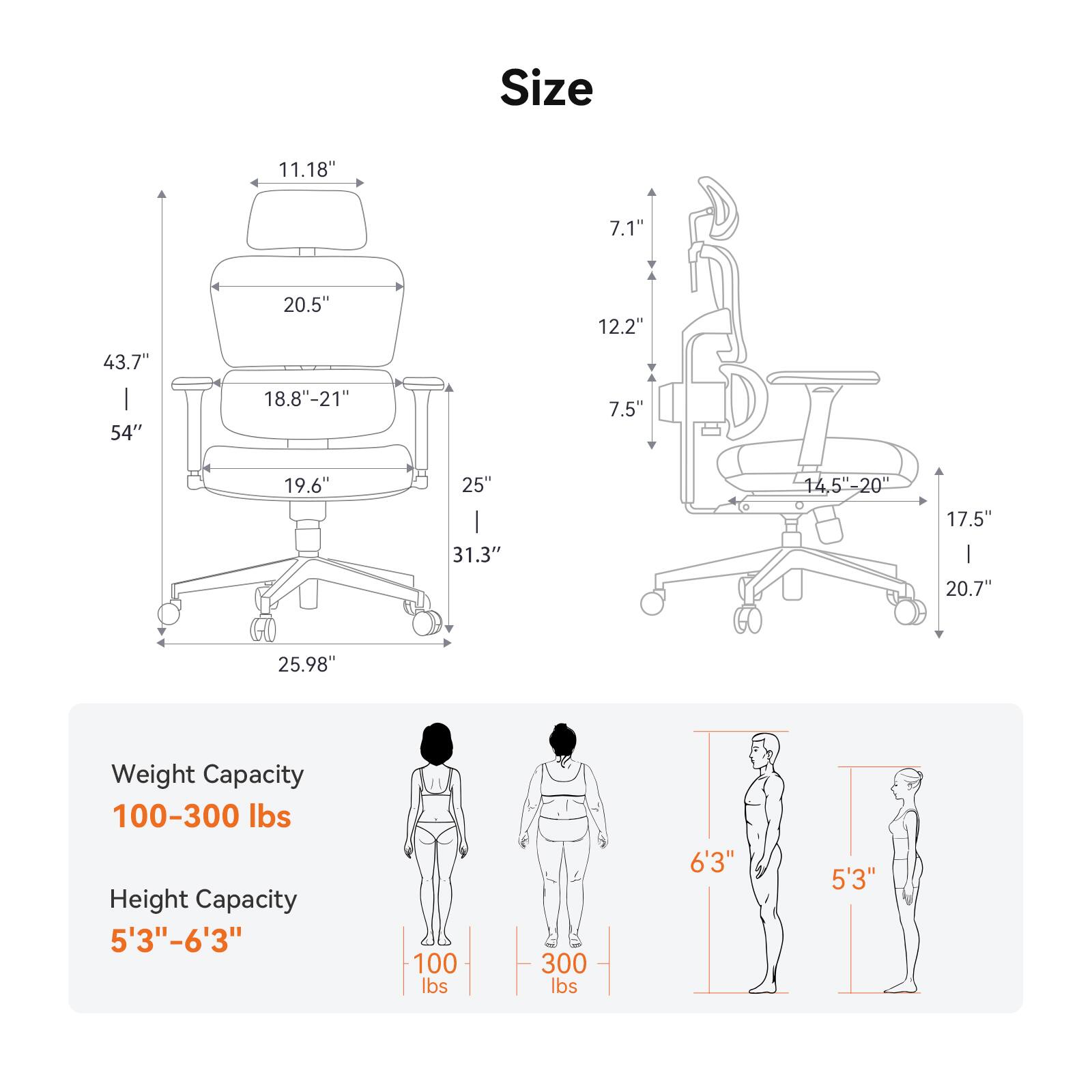 Size  
11.18" 7.1" 43.7" | 54" 20.5" 18.8"-21" 12.2" 7.5" 19.6" 25" 31.3" 14.5"-20" 17.5" | 20.7" 25.98"  

Weight Capacity  
100-300 lbs  

Height Capacity  
5'3"-6'3"