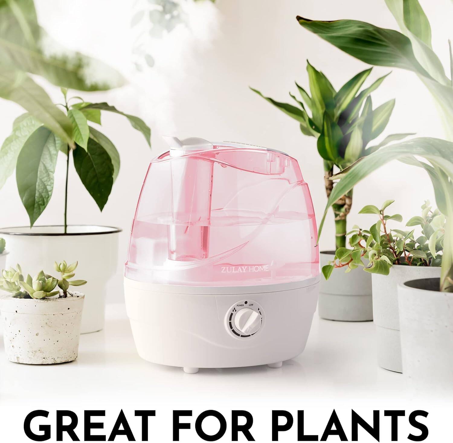 ZULAY HOME - A GREAT FOR PLANTS