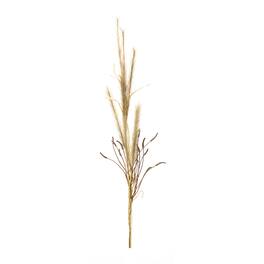 BreeBe - Foxtail Grass Spray (Set of 2) - Brown