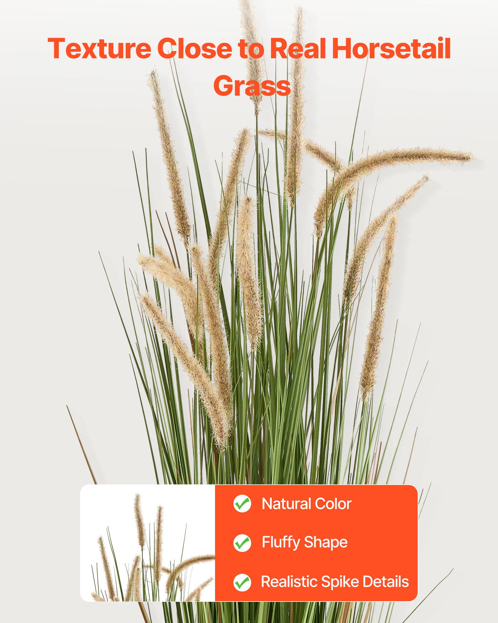 Texture Close to Real Horsetail Grass

- Natural Color
- Fluffy Shape
- Realistic Spike Details