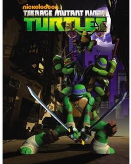 Teenage Mutant Ninja Turtles: Rise of the Turtles - DVD
