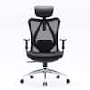 Front. SIHOO - M18 Ergonomic Office Chair, Computer Desk Chair with Adjustable Headrest, High Back Swivel Chair for Home Office - BLACK.