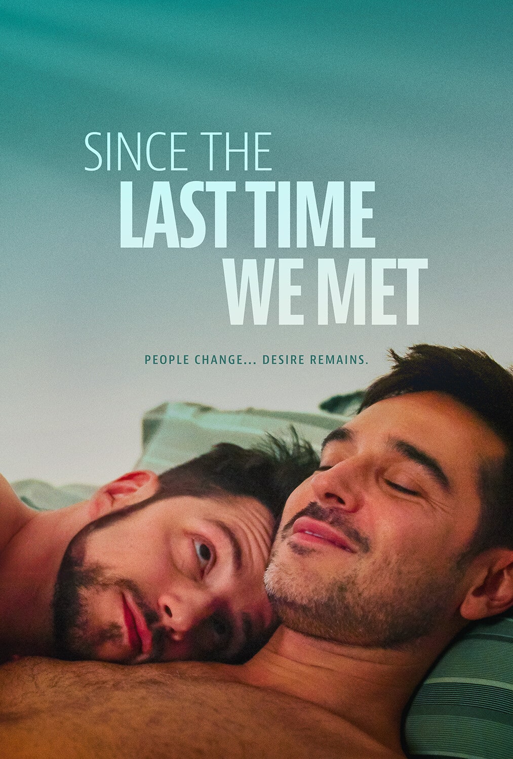 Since The Last Time We Met  - DVD